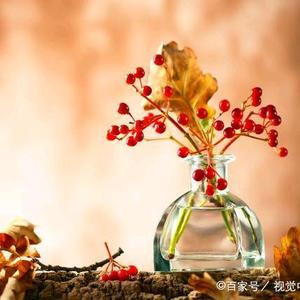喵姐越来越好头像