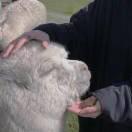 DER的个人资料头像