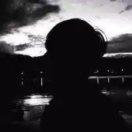 Simple的个人资料头像