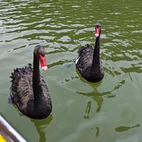 我叫永恒1234头像