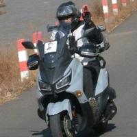 平安幸福kNXX头像