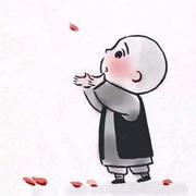 VAST的个人资料头像