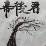 郝华荣595头像