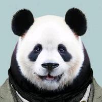 熊猫是个职业头像