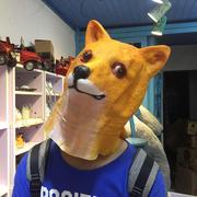 Quinn的个人资料头像