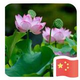 中国梦174834107头像
