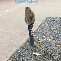 古风V饭局头像