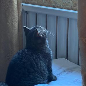 神秘天空rpJ头像