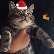 为帮助房东还房贷从而努力工作的小陈的个人资料头像