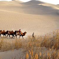 欣如所愿ovvv头像