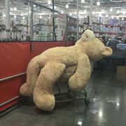 LM7的个人资料头像