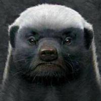 油头叶教授大王头像