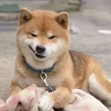 勇者安迪8b8头像