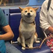 宇o0的个人资料头像