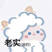 不是程序媛的个人资料头像