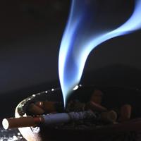 相与2000头像