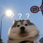 lu同学9527的个人资料头像