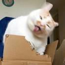 康昆的个人资料头像