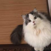 用户6132848536779的个人资料头像