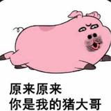 一只有梦想的小青蛙头像