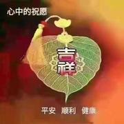 启航299的个人资料头像