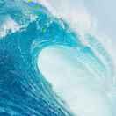 墨竹摇曳的个人资料头像