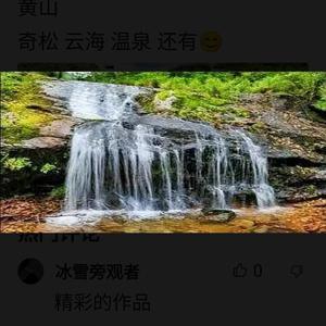 愉树悦头像