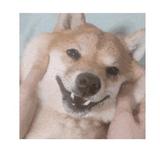 天天赖中头像