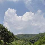 鹏程烨头像