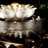 金水台莲花池头像