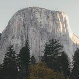 你是悲凉也是情头像