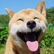 steveZhang的个人资料头像