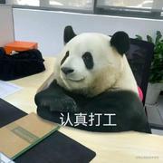 PandaM_的个人资料头像