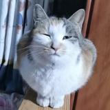 用户6672991716250头像
