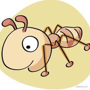 Java蚂蚁的个人资料头像