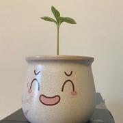 李胜杰706的个人资料头像