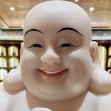 Prince集团头像