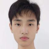 骑狗偷电线头像