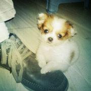 礼宾序列排名在艾可圈的个人资料头像