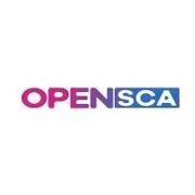 OpenSCA社区的个人资料头像