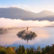 用户2184314922371的个人资料头像