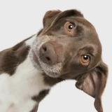 用户8879428053040头像