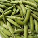 织一束月色463头像