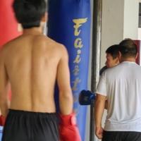 非凡橘子猫头像