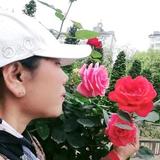 1902204926头像