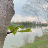 老王的招生日常头像