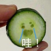 又奶又输出的个人资料头像