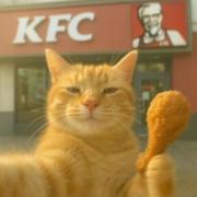 码头整点薯条的个人资料头像