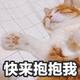 刘溜溜！🎈头像