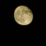 豁达清泉skn头像